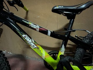 Bicicleta infantil negra y verde
