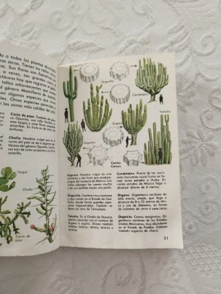 ​Libro "México" - Pequeña Biblioteca Daimon (1973)