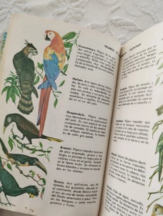 ​Libro "México" - Pequeña Biblioteca Daimon (1973)