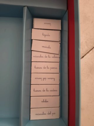 Puzzle Montessori El Cuerpo Humano 3-6 años