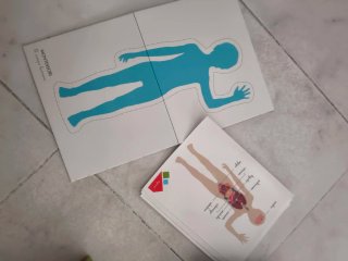 Puzzle Montessori El Cuerpo Humano 3-6 años