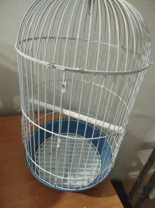 Jaula para pájaros blanca y azul