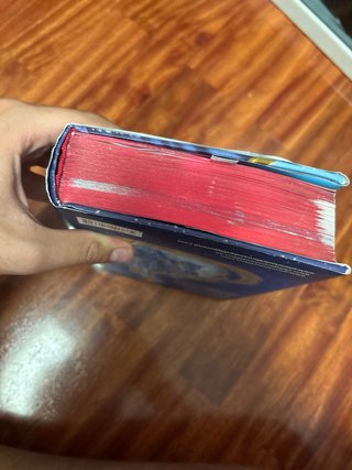 Rescate en el Reino de la Fantasía. Noveno viaje