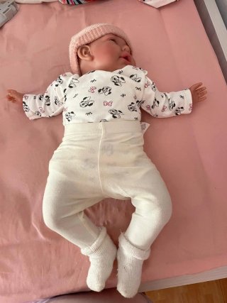 Lote Ropa Bebé reborn y carro
