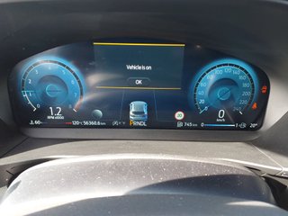 Ford FOCUS 1.0 Ecoboost MHEV 114kW STLine X Auto (2025)