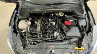 Ford FOCUS 1.0 Ecoboost MHEV 114kW STLine X Auto (2025)