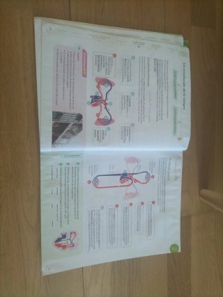Ciencias de la Naturaleza, 6 Primaria, Proyecto...