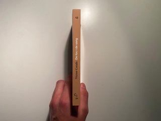 De Foc i de Sang — Víctor Català