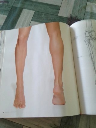 Anatomía para el artista