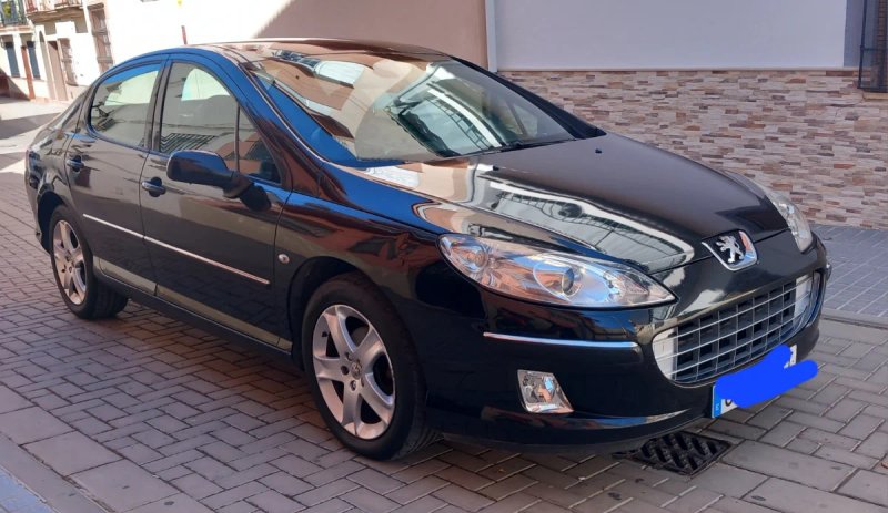 Peugeot 407 2005 - foto 1