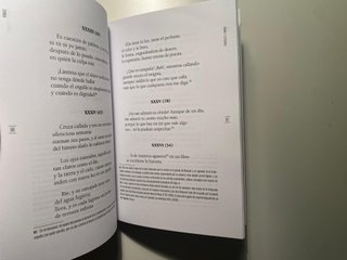Rimas y Leyendas — Gustavo Adolfo Bécquer — Anaya