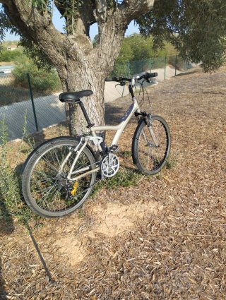 Bicicleta MTB en buen estado
