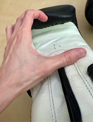 Guantes Boxeo Fujimae Professional Cuero 12oz
