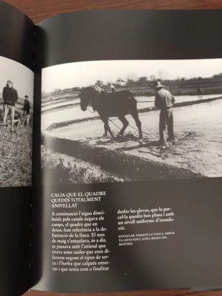 La vida rural a Catalunya