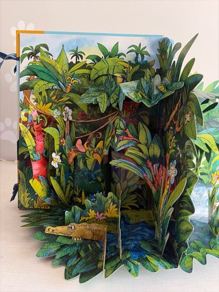 LIBROS-POP-UP LA SELVA