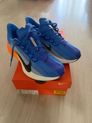 Nike Pegasus Plus Talla 42