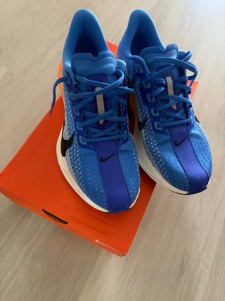 Nike Pegasus Plus Talla 42