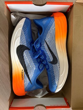 Nike Pegasus Plus Talla 42
