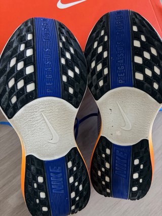 Nike Pegasus Plus Talla 42