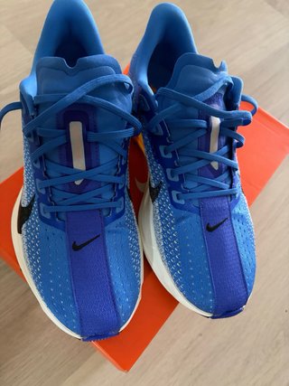 Nike Pegasus Plus Talla 42
