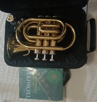 Trompeta de bolsillo dorada