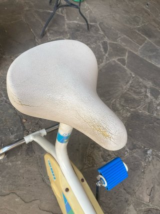 Bicicleta Estática Vintage BH