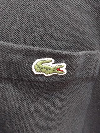 Polo Lacoste Marino Rayas