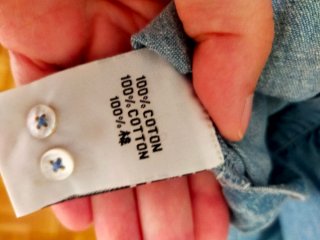 Camisa crop vaquera bordada algodón