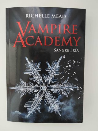 Vampire Academy - Richelle Mead