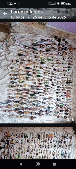 Colección Botellas Miniatura
