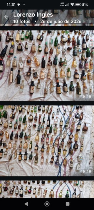 Colección Botellas Miniatura