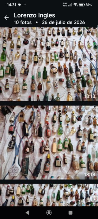 Colección Botellas Miniatura