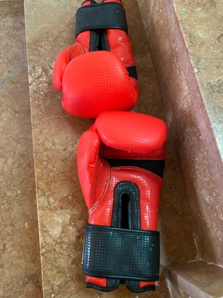 Guantes de artes marciales Mugendo