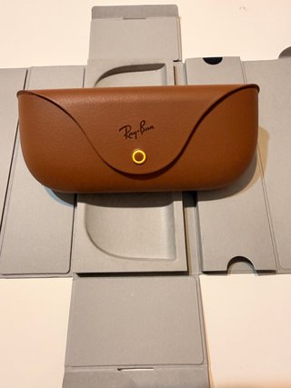Ray Ban Wayfarer Meta 2ª Generación