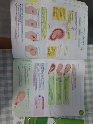 Ciencias de la Naturaleza, 6 Primaria, Proyecto...