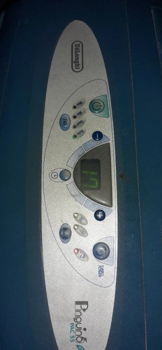 DeLonghi PAC 55 Eco Pinguino