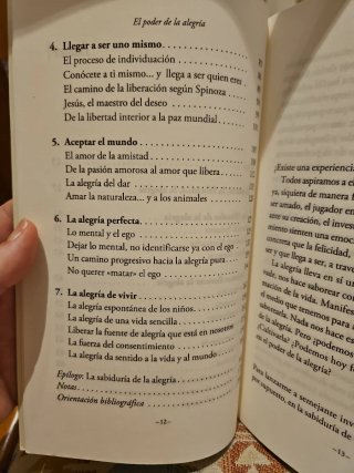 EL PODER DE LA ALEGRÍA
