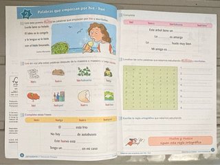 Libro Ortografía