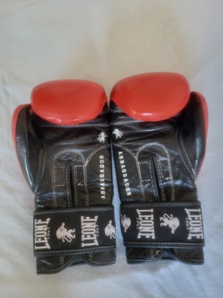 Guantes de Boxeo Leone