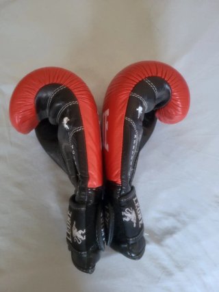 Guantes de Boxeo Leone