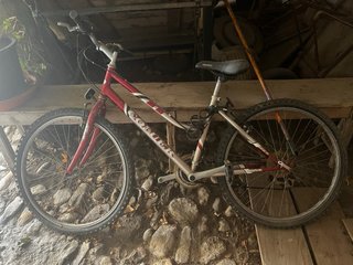Bicicleta Montaña Niño/a