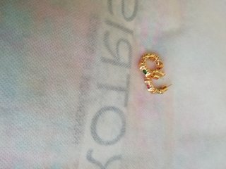 Pendientes de singularu