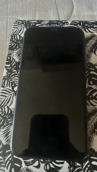 iPhone 11 Negro