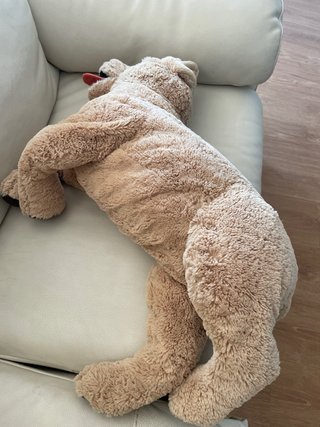 3 Peluches Grandes: Oso, Elefante y Perro