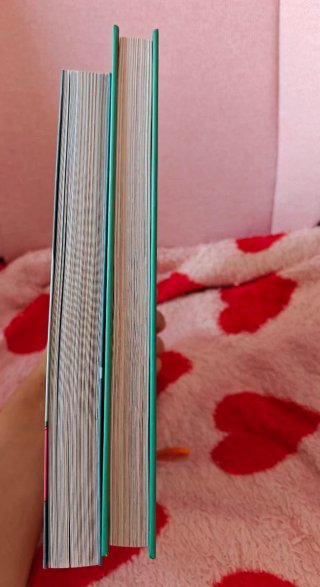 Lote o pack de 2 libros