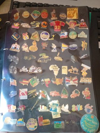 Álbum con 310 pines variados