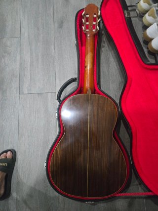 Guitarra Domingo Esteso 1948