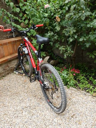 Bicicleta Trek Elite 9.8 Carbono