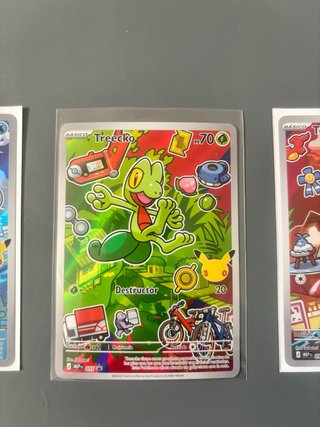 Pokémon Primer Compañero – Iniciales de Hoenn
