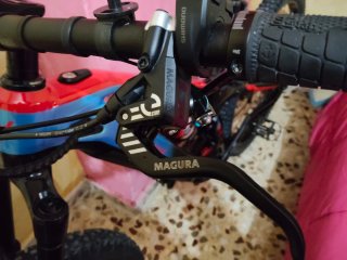 Bicicleta eléctrica
